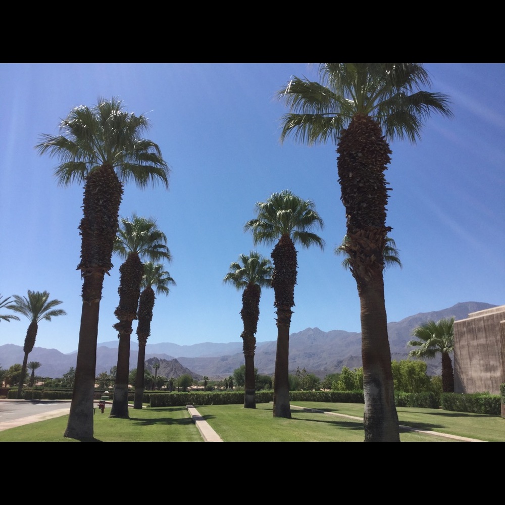 Meet your Posher, Janice